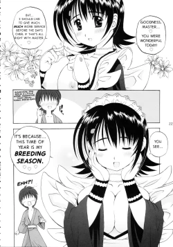 Page 21 of Iroha ni Hoheto
