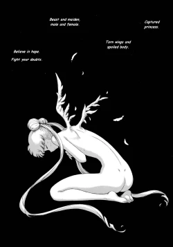 Page 11 of Submission Sailorstars