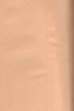 Page 4 of Kimi ni Ai ni Iku Tame no 10 no Houhou to 100 no Riyuu