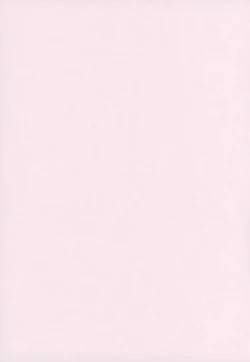 Page 2 of Mayoi Neko