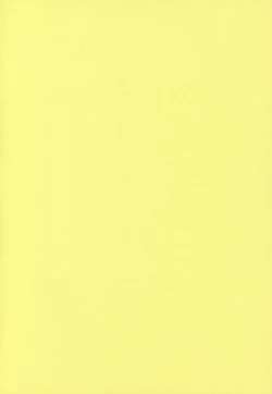 Page 2 of Muchakucha Yanke