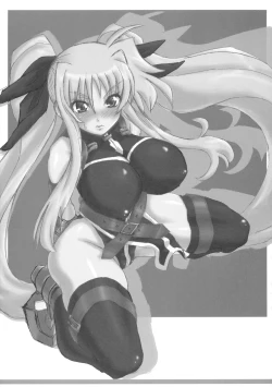 Page 30 of Gekkan Fate. GX