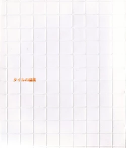 Page 1 of Tile no Ondo