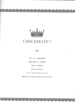 Page 25 of CHECKMATE!