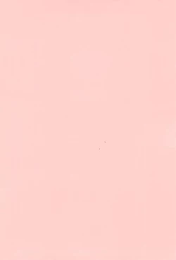 Page 4 of Shutsuran no Midare