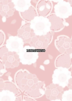 Page 24 of Koukuu Bokan, Houshou desu.