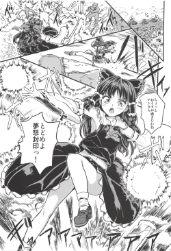 Page 2 of SHRINE PET