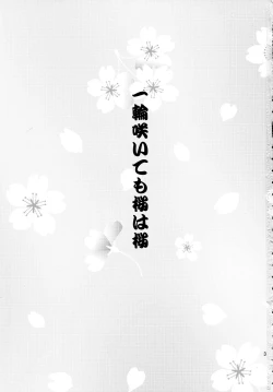 Page 2 of Ichirin Saite mo Sakura wa Sakura