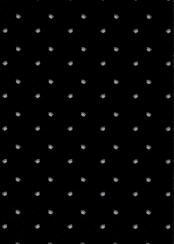 Page 28 of 2 COMANA AHO-CHAN