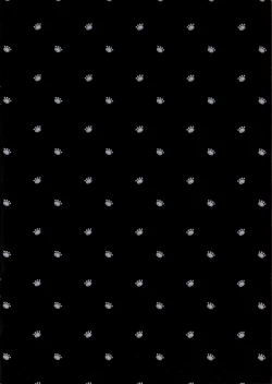 Page 2 of 2 COMANA AHO-CHAN