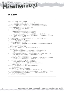 Page 10 of Touhou Mimimizugi