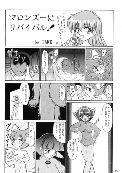 Page 17 of Kuriokawa