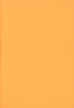 Page 252 of Horoama Omocha Hako