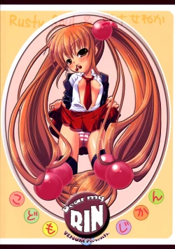 Page 40 of Dear my RIN