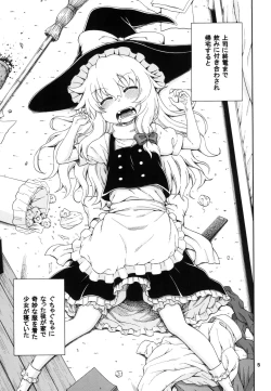 Page 5 of Touhou Meiko