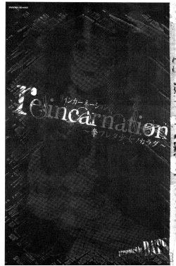 Page 4 of reincarnation
