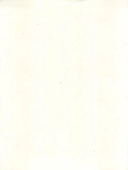 Page 31 of Pink wa In