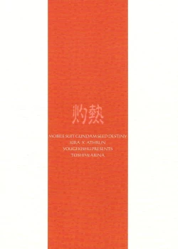 Page 30 of Shakunetsu