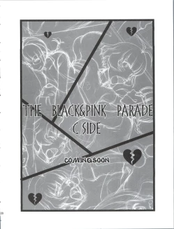 Page 19 of The Black & Pink Parade B-Side
