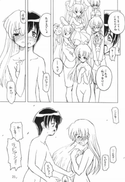 Page 24 of Usa De Megane 2