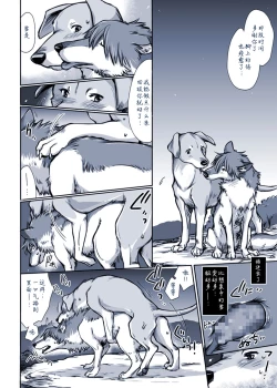 Page 7 of Aru Inu no Baai | 某只狗的视角