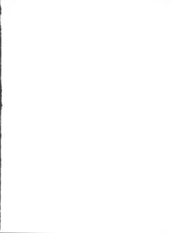 Page 2 of Daytime Satellite