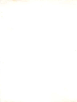 Page 4 of ORANGE GALLERY SAKATA SPECIAL