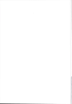 Page 19 of Ori no Naka no Illya-chan