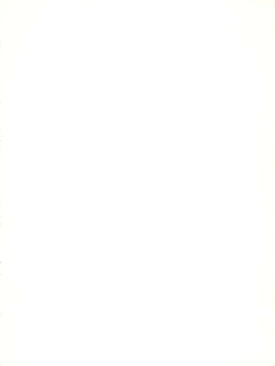 Page 2 of Meirei Denpa IV Zettai Ansei