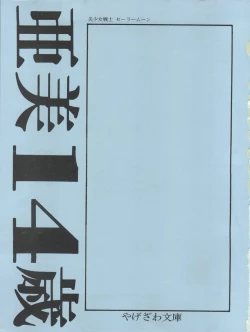 Page 4 of Ami 14-sai