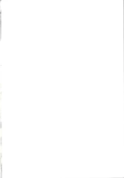 Page 2 of Hatsujouki no Nyan Koishi