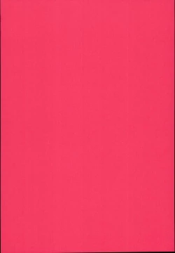 Page 22 of Ryuujou-chan ga Yattekita.