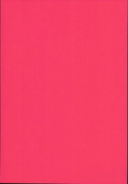 Page 21 of Ryuujou-chan ga Yattekita.