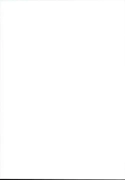 Page 31 of RAIDEN STORM