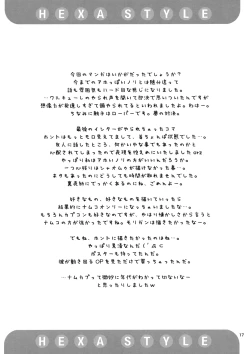 Page 16 of HEXA STYLE