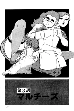 Page 52 of Koushoku Pet Sensei