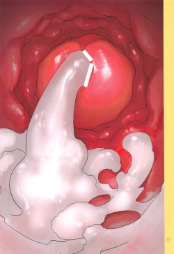 Page 22 of Uzaki-chan wa H Shitai! 2