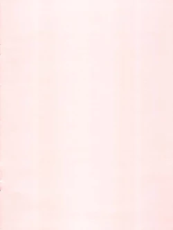 Page 2 of Seiteki Photo Girl