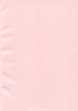 Page 2 of Sokuochi Honolulu