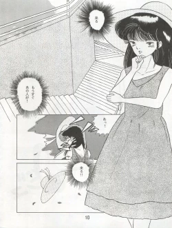 Page 13 of ORANGE SQUASH