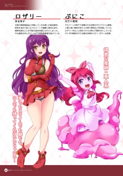 Page 3 of Naedoko Dungeon Chronicle Official Design Works