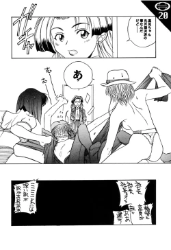 Page 21 of N2 SENTINEL SS25-550kt 1.50A