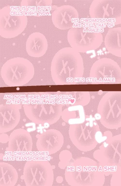 Page 6 of A Normal Boy Turns Into A Girl ~ 40P