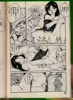 Page 17 of Bishoujo Honpo