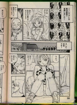 Page 29 of Bishoujo Honpo