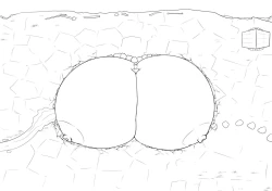 Page 24 of Demonic Onsen Paizuri