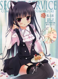 Page 1 of Secret Service