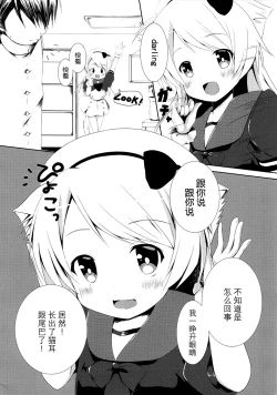 Page 4 of Nekomimi-ka Suru nante Marude Doujinshi ja Nai ka!!!