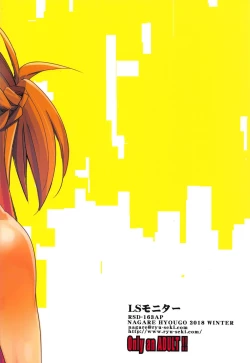 Page 18 of LS Monitor