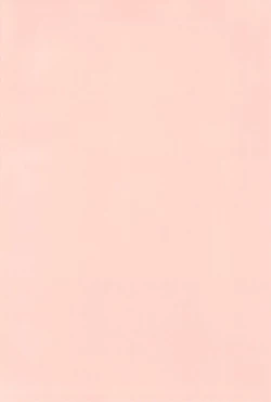 Page 4 of Suki na no wa Onii-chan mo Issho